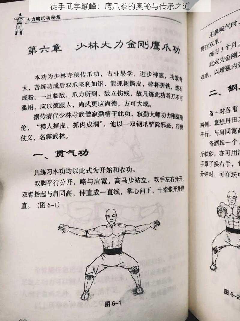 徒手武学巅峰:鹰爪拳的奥秘与传承之道