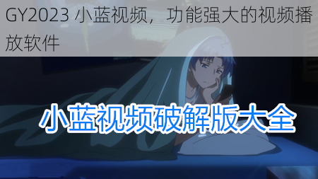 GY2023 小蓝视频,功能强大的视频播放软件